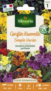 Giroflée Ravenelle Simple Variée